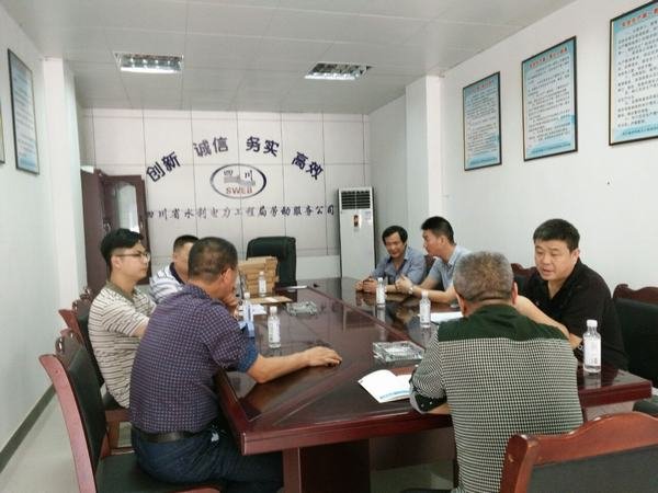 楊澤林、袁斌率隊(duì)檢查資陽片區(qū)安全工作