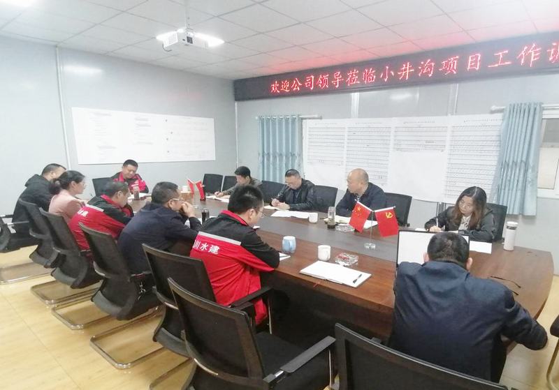 公司黨委書記、董事長代勇一行到小井溝支渠工程項目開展工作調(diào)研