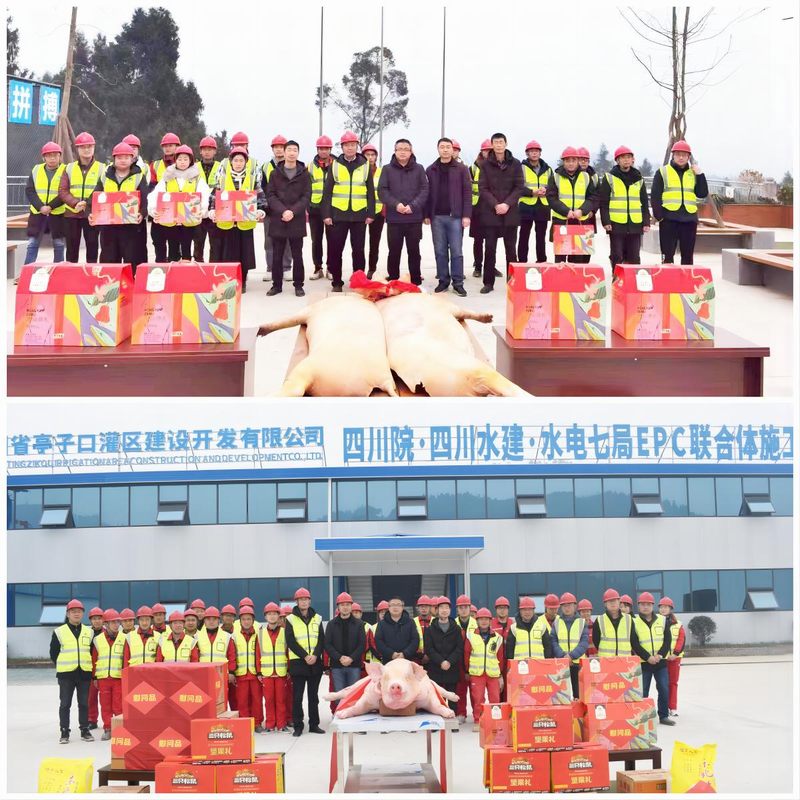 羅雪總經(jīng)理一行赴亭子口項(xiàng)目開展調(diào)研慰問(wèn)活動(dòng)