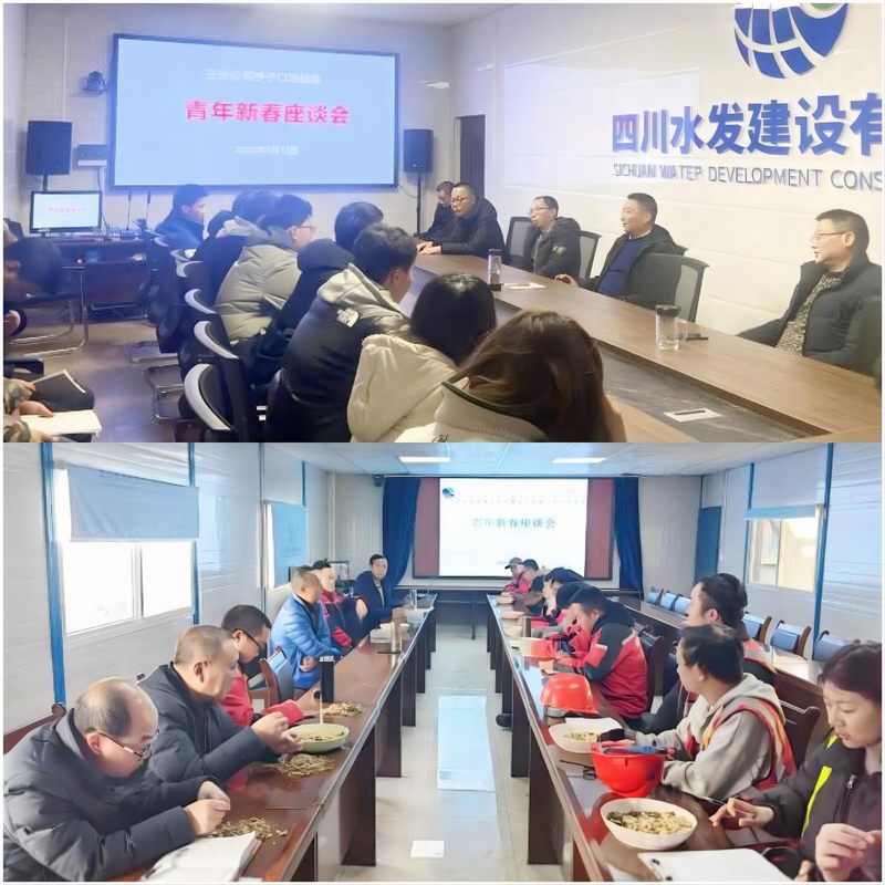 龍?zhí)另?xiàng)目部黨支部和亭子口項(xiàng)目部第二支部聯(lián)合組織召開青年職工迎新春座談會(huì)