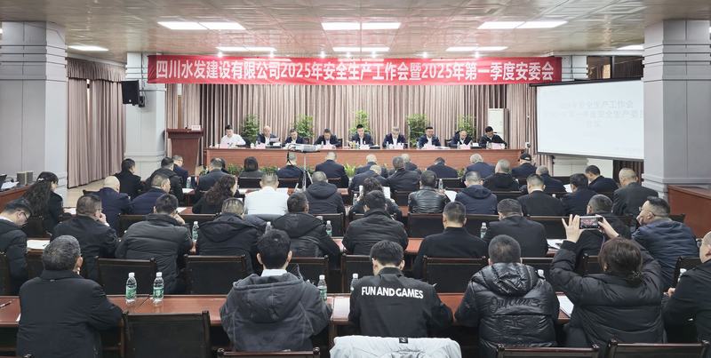 2025年安全生產工作會議暨2025年第一季度安全生產委員會會議召開